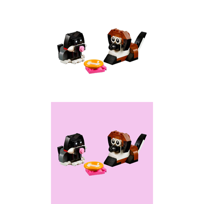 LEGO Do'stlik kuni (40401)