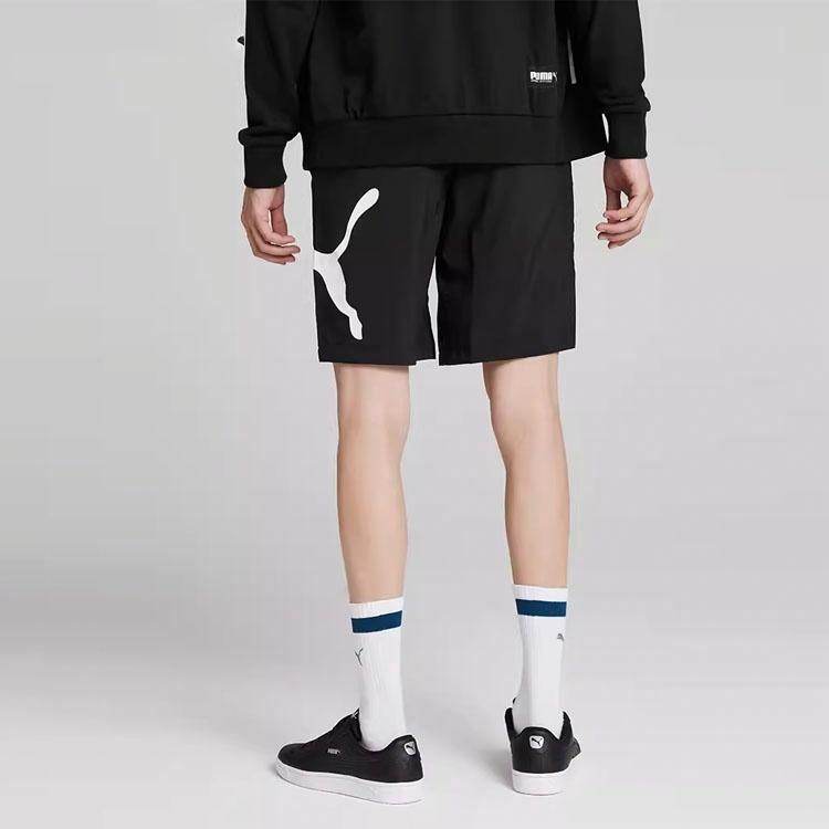 Шорты мужские Puma ESS Logo Print - Boxette Shop