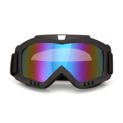 Очки горнолыжные PULAIS