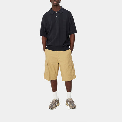 Футболка мужская Carhartt WIP SS24