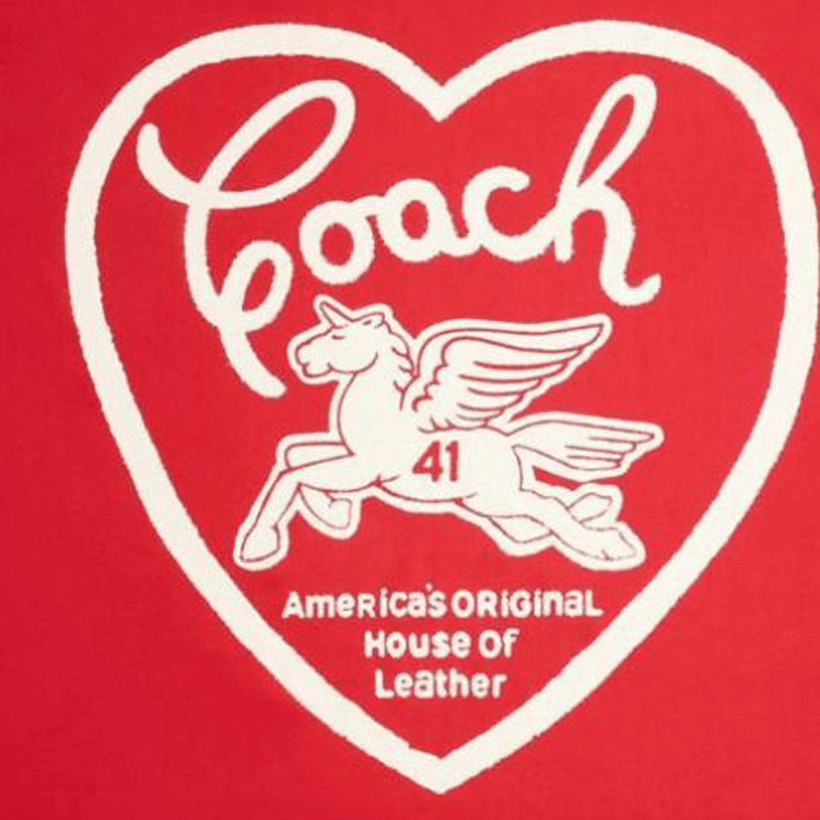 Платок женский Coach - Boxette Shop