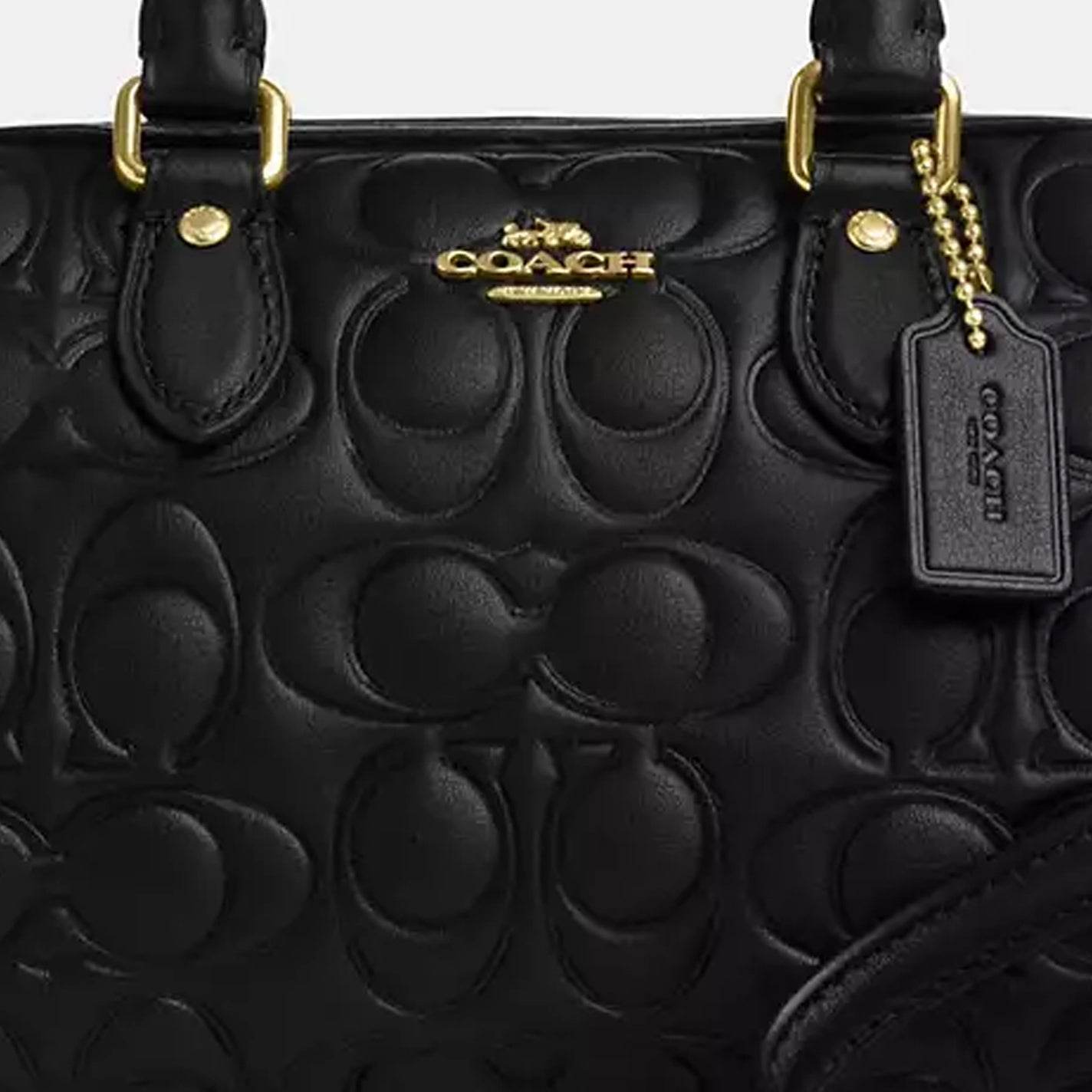 Сумка женская Coach Rowan 17 Printed Logo - Boxette Shop