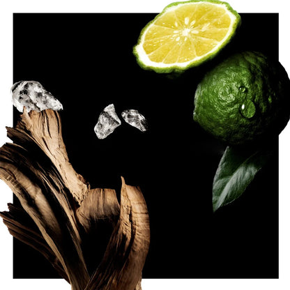 Парфюмерная вода женская Givenchy L'Enfant Terrible