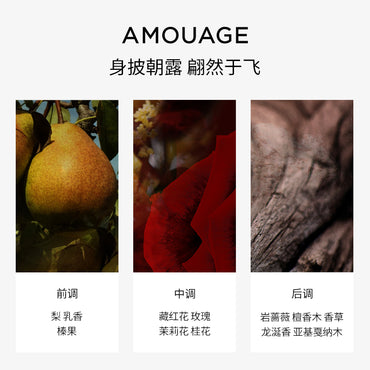 Amouage oracle парфюм цветочно-фруктовый edp роза ладан 100 мл