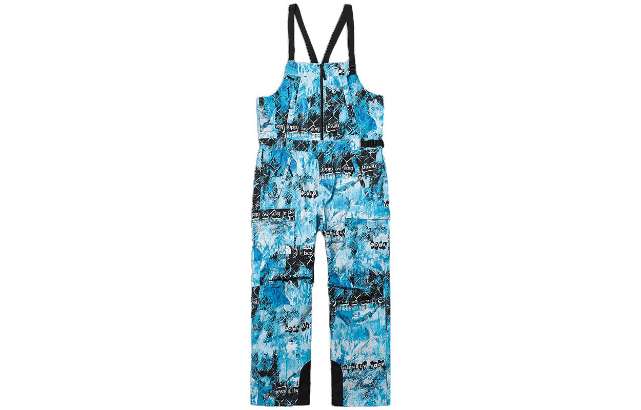 Брюки горнолыжные мужские The North Face