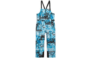 Брюки горнолыжные мужские The North Face