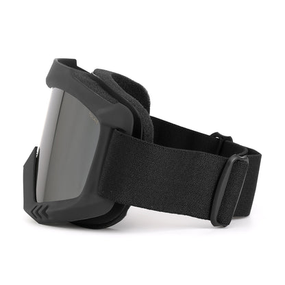 Очки горнолыжные PULAIS