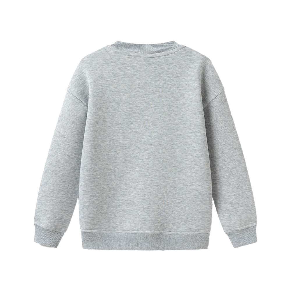 Balabala balabala x harry potter sweatshirt harry potter совместная марка год змеи ограниченный простой моды волшебный принт универсальный и удобный круглый шеи пуловер случайные подростки