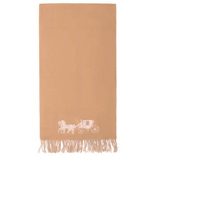 Шарф Coach - Boxette Shop