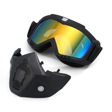 Очки горнолыжные PULAIS