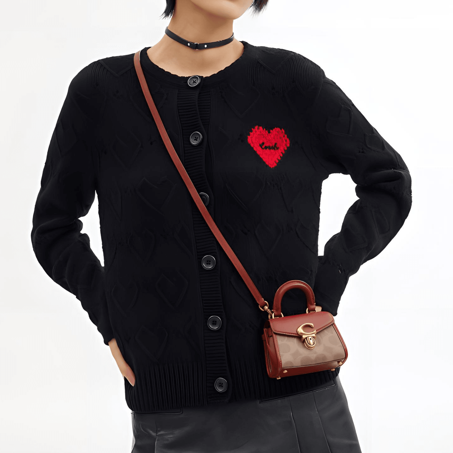 Сумка женская Coach Sammy 12 Label Push Lock Closure - Boxette Shop