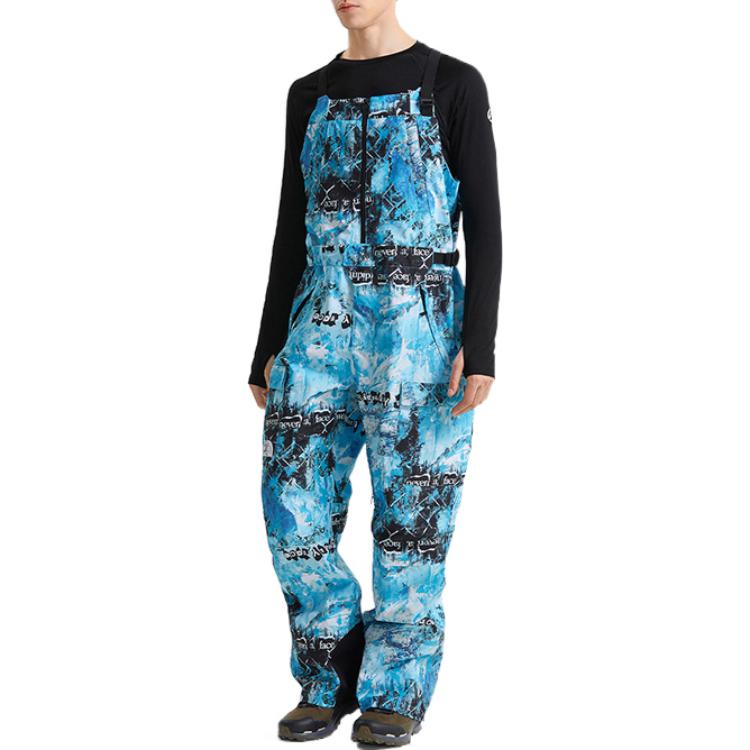 Брюки горнолыжные мужские The North Face