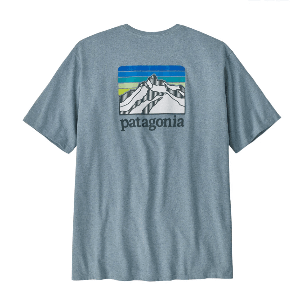 Футболка мужская Patagonia с логотипом - Boxette Shop