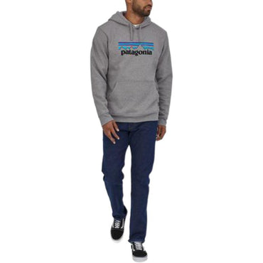 Худи Patagonia SS22