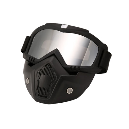 Очки горнолыжные PULAIS