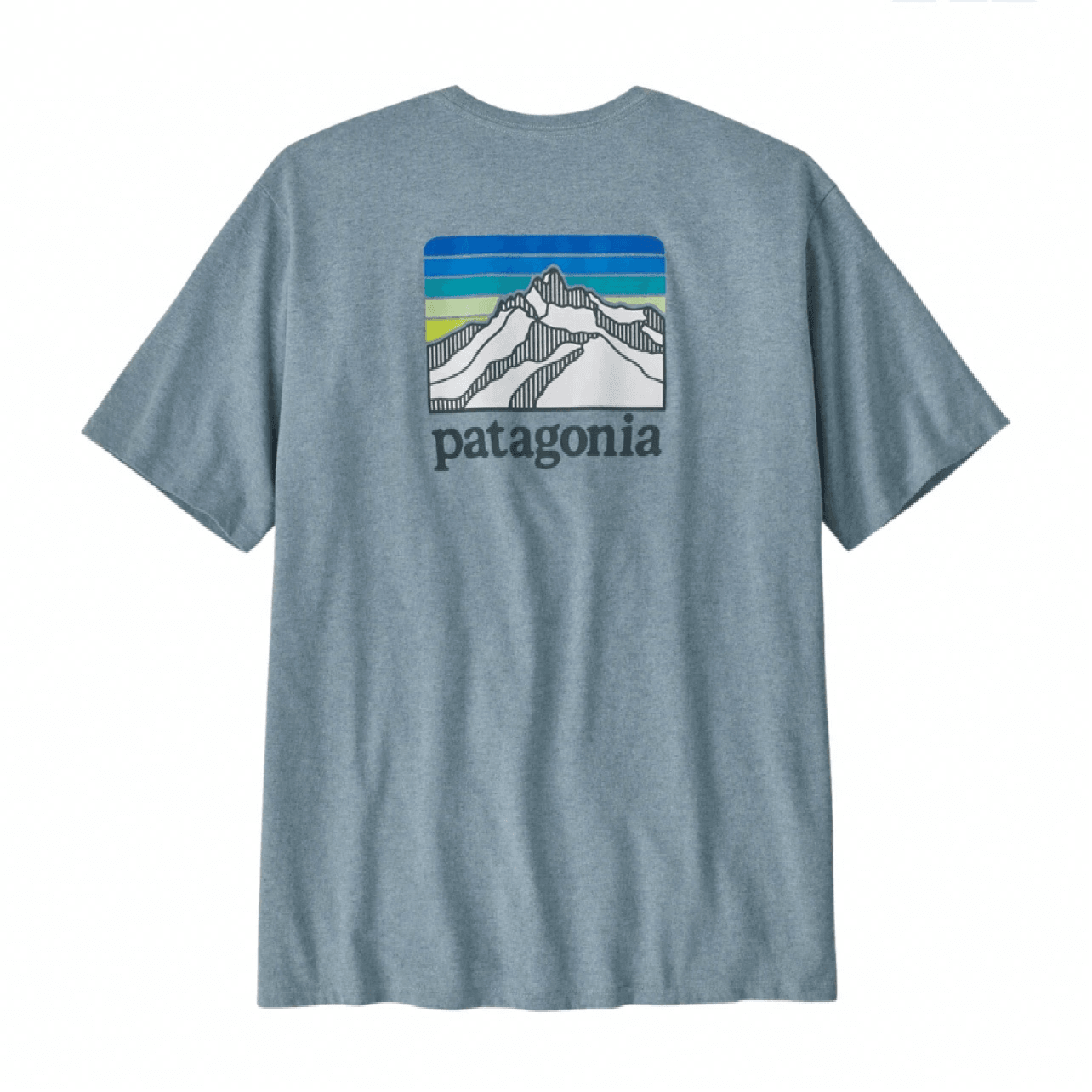 Футболка мужская Patagonia с логотипом - Boxette Shop