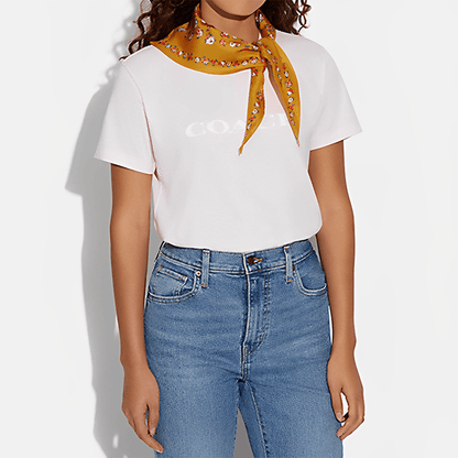 Платок Coach - Boxette Shop