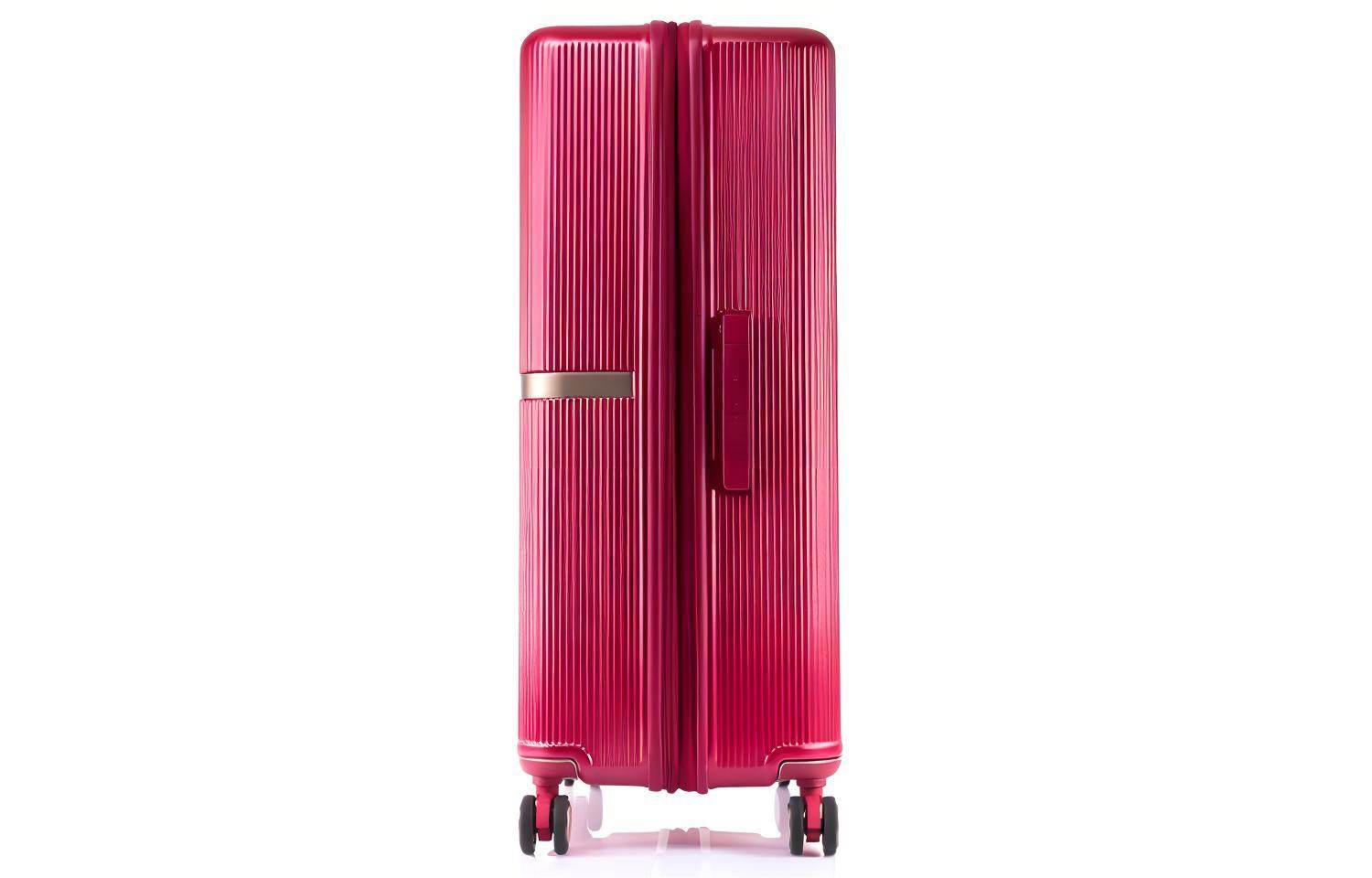 Чемодан Samsonite Xiu Li Minter - Boxette Shop