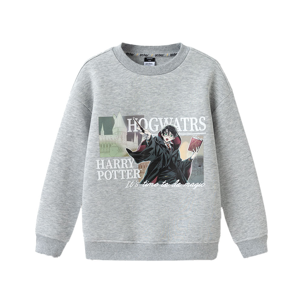 Balabala balabala x harry potter sweatshirt harry potter совместная марка год змеи ограниченный простой моды волшебный принт универсальный и удобный круглый шеи пуловер случайные подростки