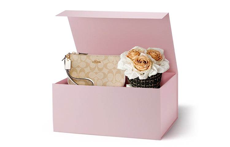 Сумка женская Coach Nolita 19 Classic Old Flower - Boxette Shop