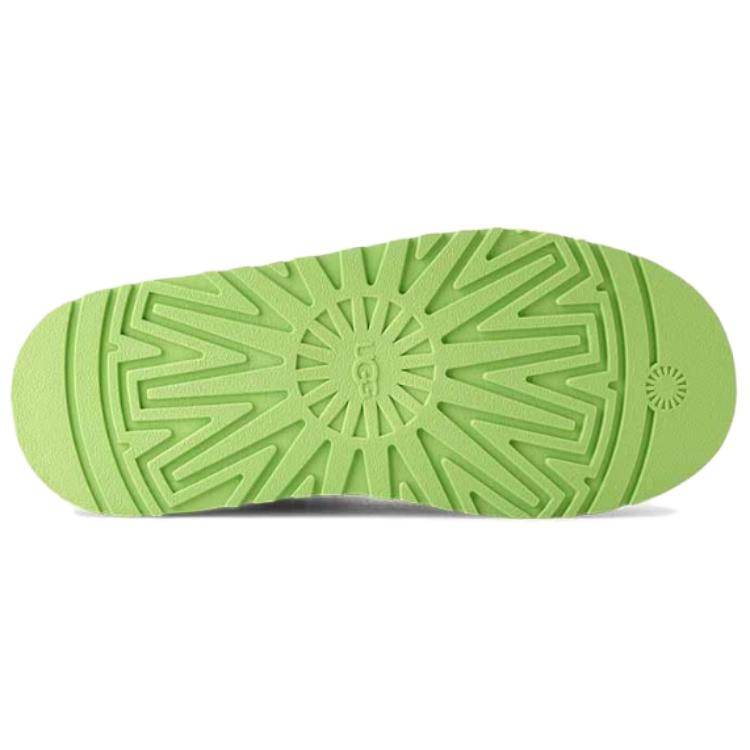 Ботинки женские Ugg tazz - Boxette Shop