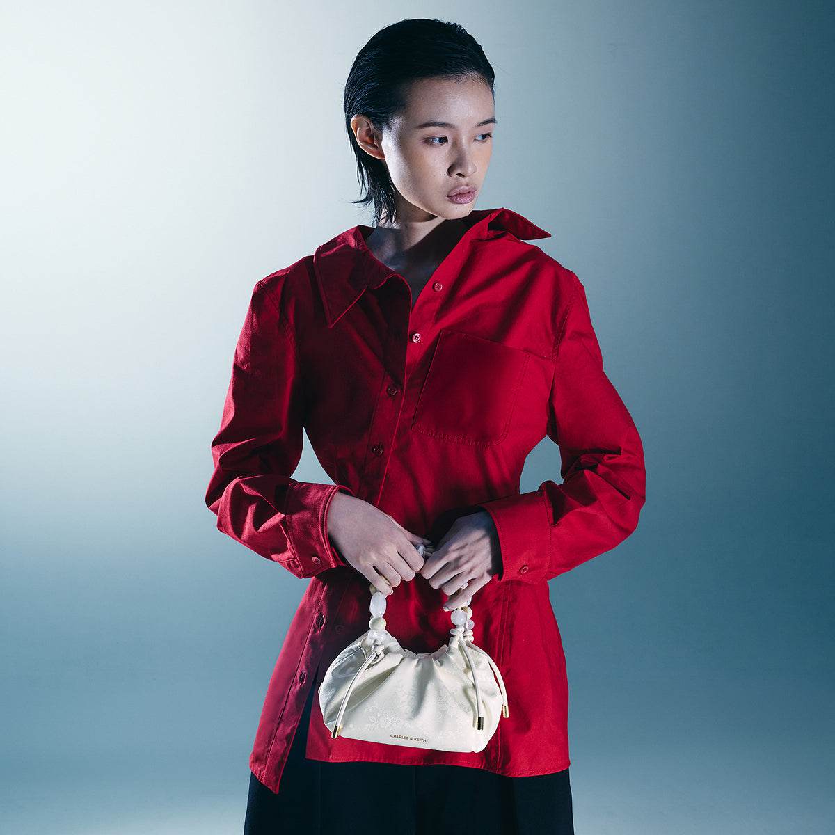 Сумка женская Charles&Keith - Boxette Shop