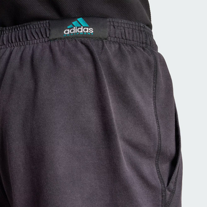 Шорты мужские Adidas Originals Equipment Series SS25