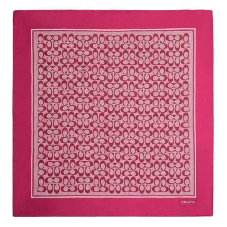 Платок женский Coach - Boxette Shop