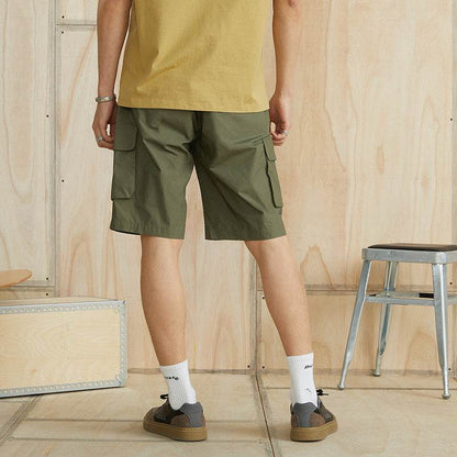 Шорты Dickies Cotton Classic Colour Five Down - Boxette Shop