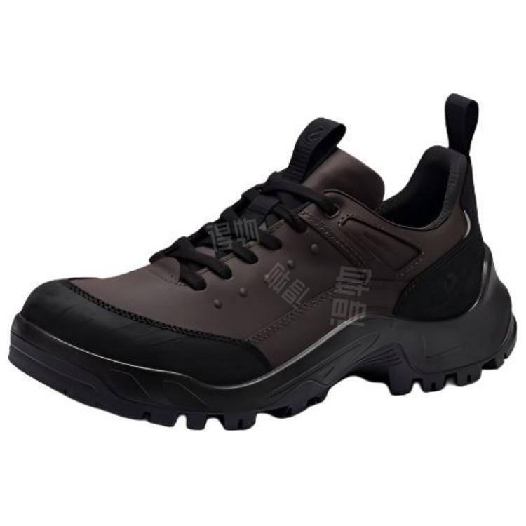 Ботинки мужские ECCO