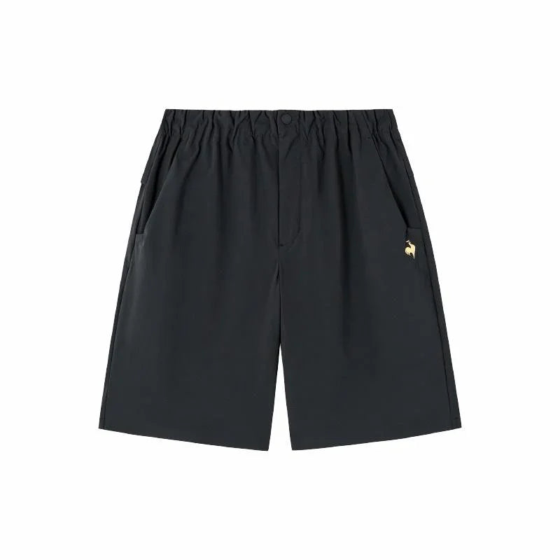 Шорты мужские Le Coq Sportif - Boxette Shop