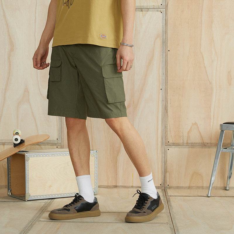 Шорты Dickies Cotton Classic Colour Five Down - Boxette Shop