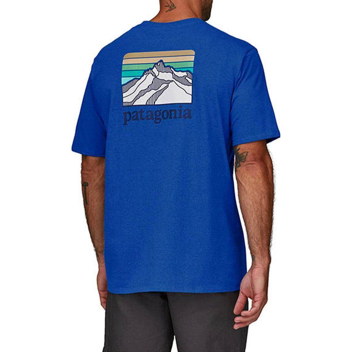 Футболка мужская Patagonia с логотипом - Boxette Shop