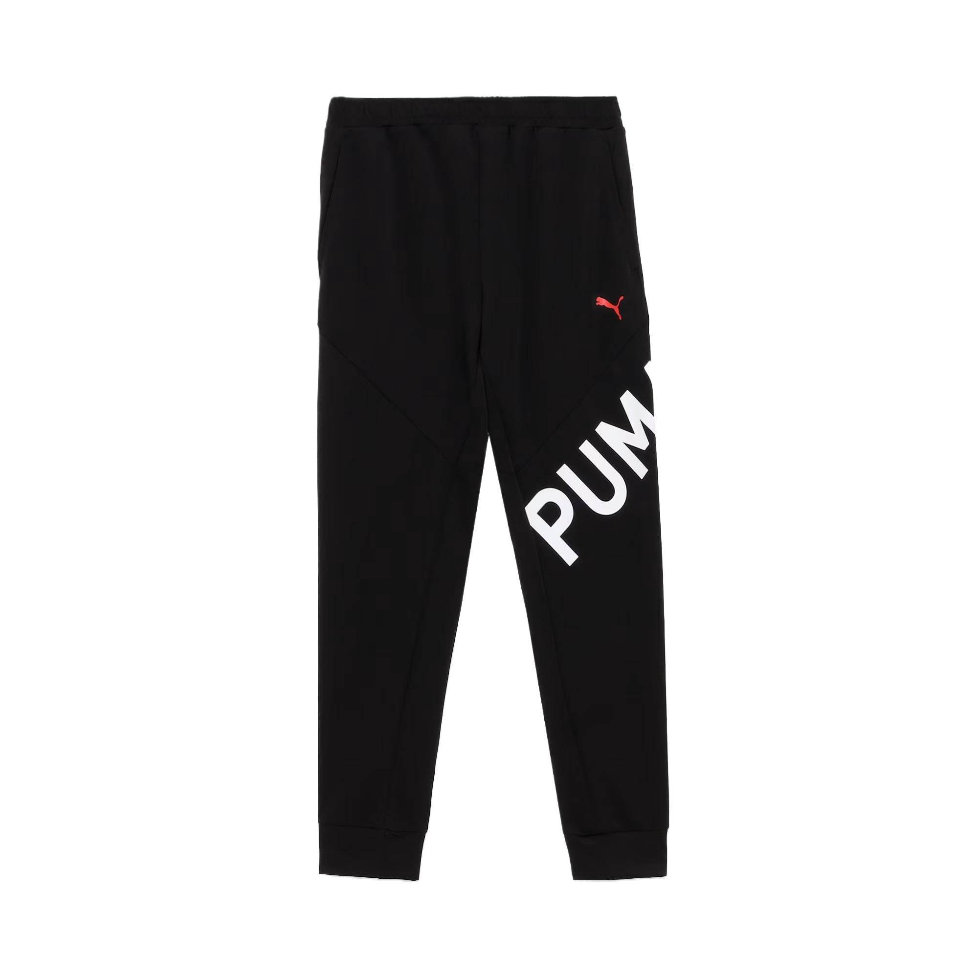 Спортивные брюки мужские Puma Tad - Boxette Shop