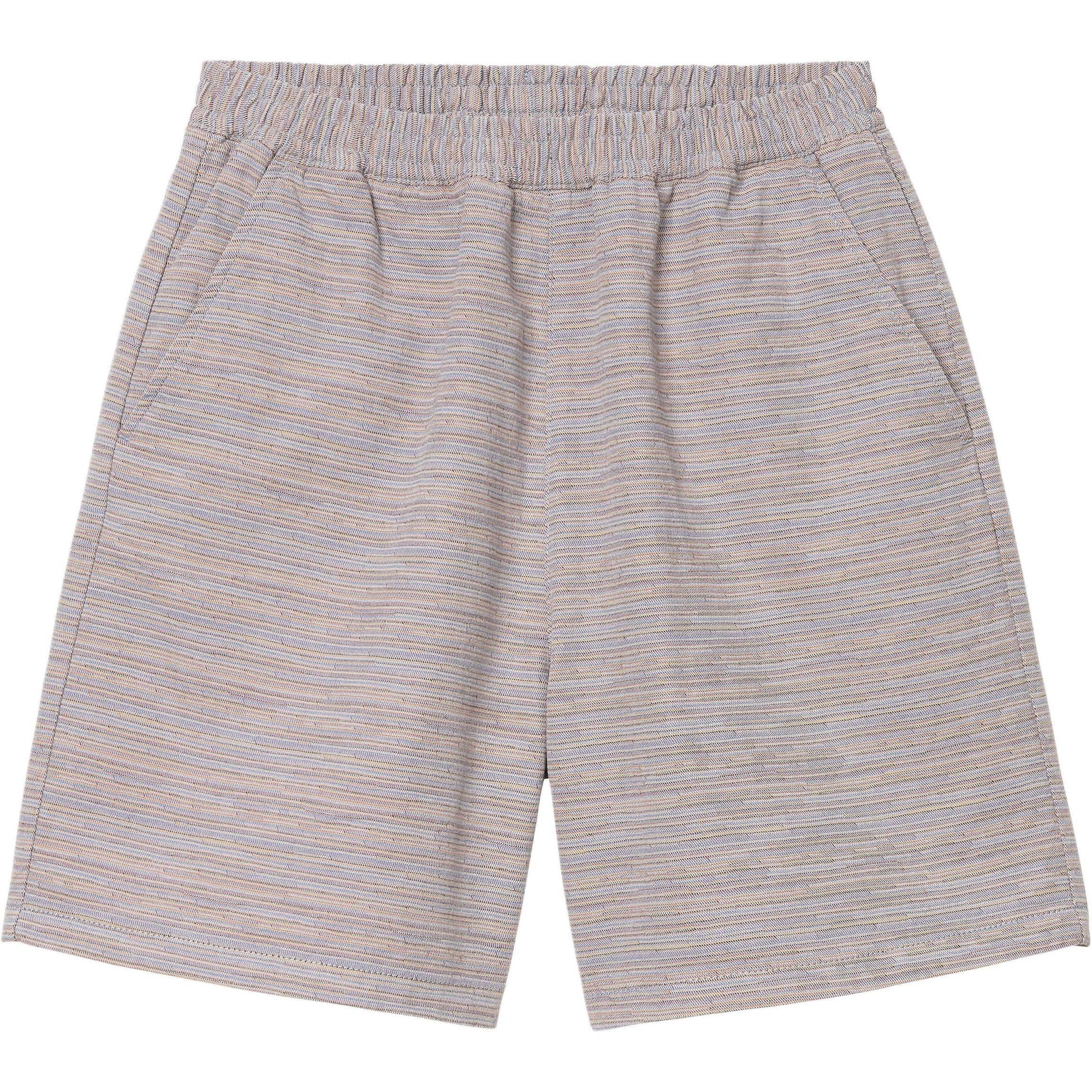 Шорты мужские Carhartt WIP SS25 - Boxette Shop