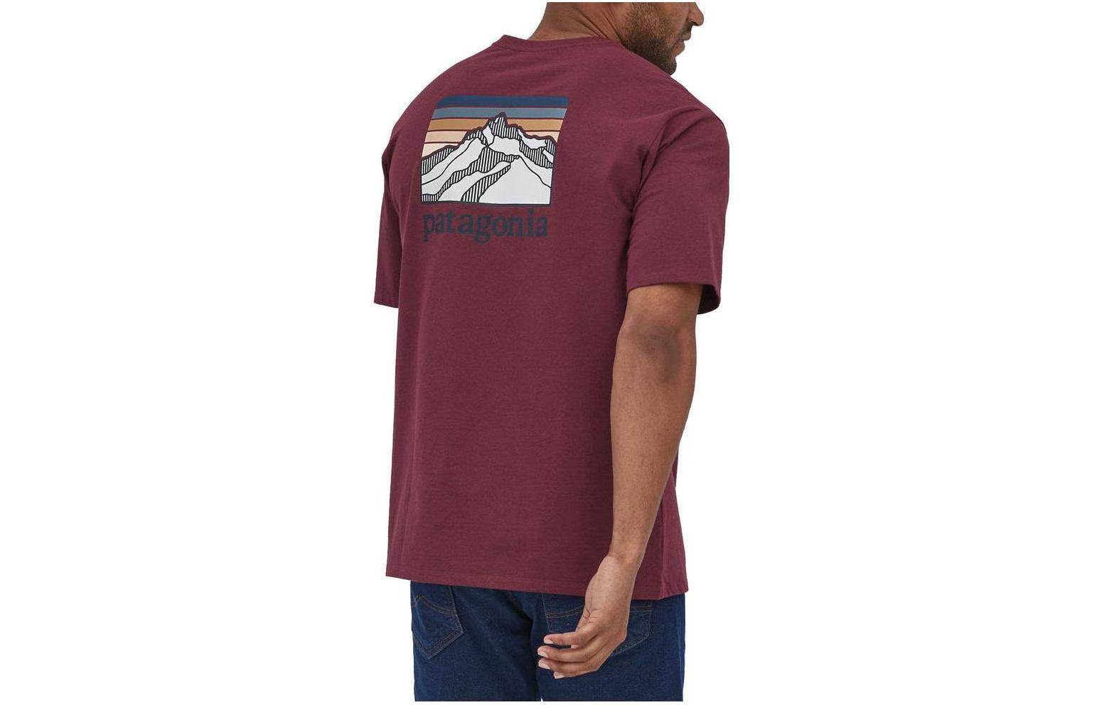 Футболка мужская Patagonia с логотипом - Boxette Shop