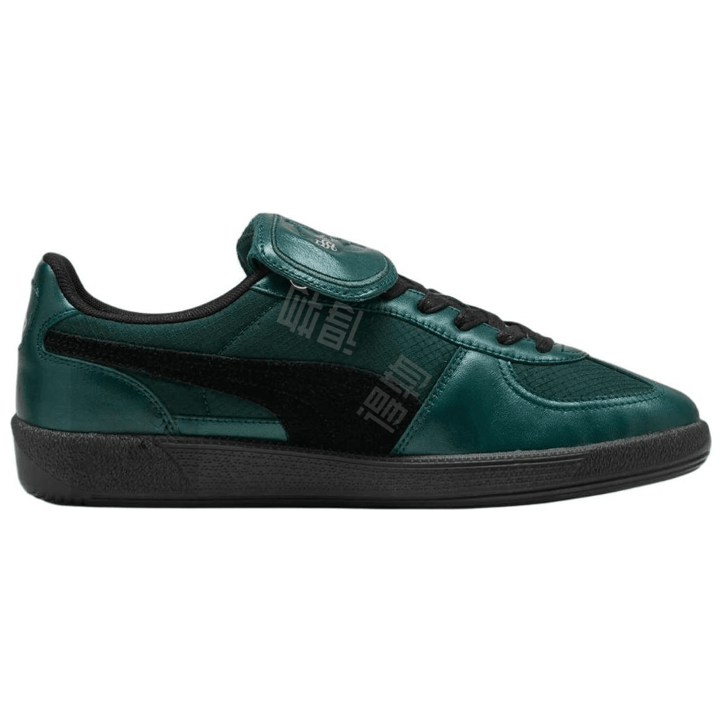 Кроссовки Harry Potter x Puma Palermo Slytherin - Boxette Shop