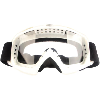 Очки горнолыжные Tanluo