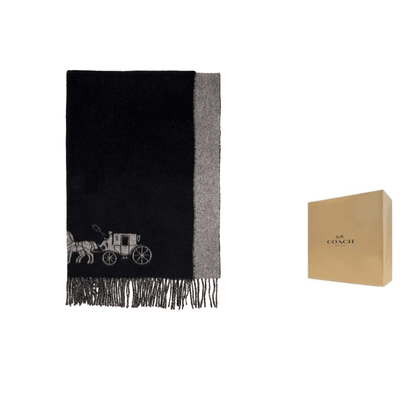 Шарф Coach - Boxette Shop