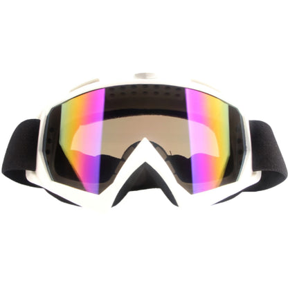 Очки горнолыжные Tanluo