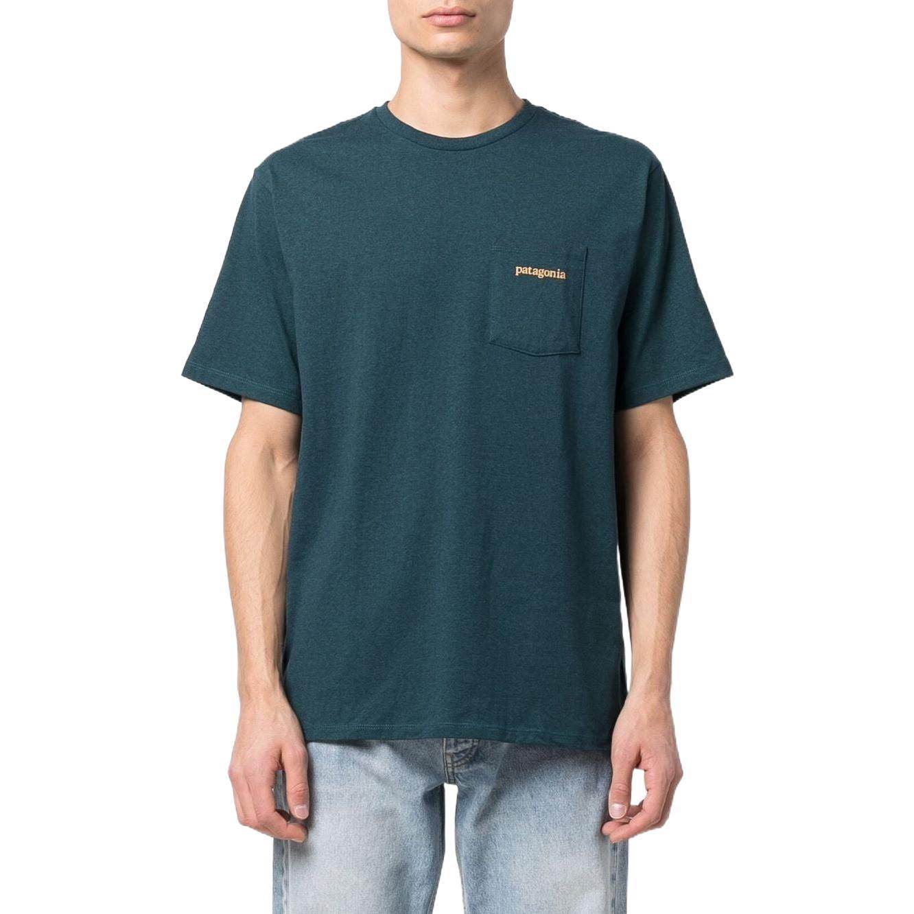Футболка мужская Patagonia с логотипом - Boxette Shop