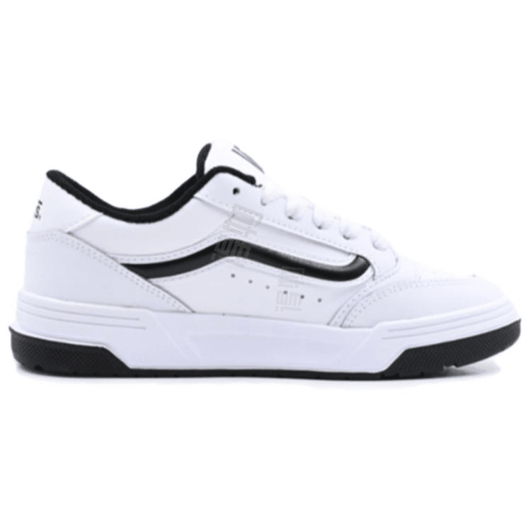 Кроссовки Vans Hylane Low Top - Boxette Shop