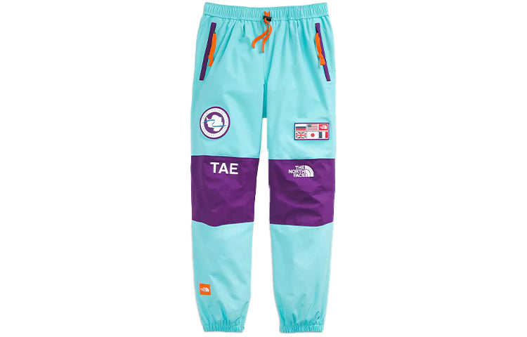 Брюки лыжные мужские The North Face