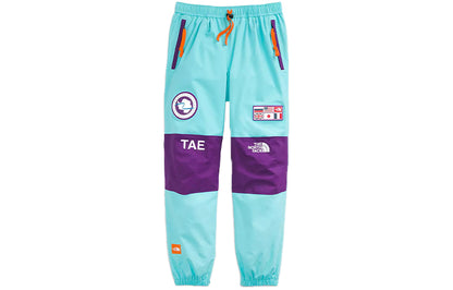 Брюки лыжные мужские The North Face