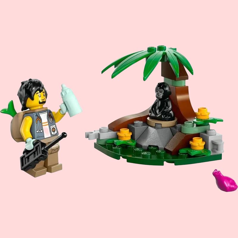LEGO konstruktori "Chimpanze bilan tanishing" (30665)