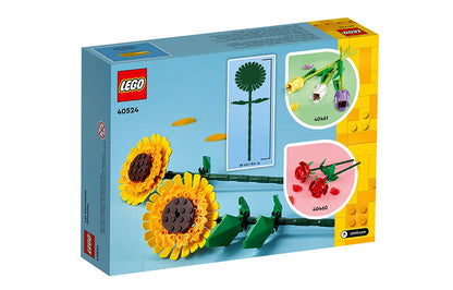 LEGO Classic kungaboqar (40524)