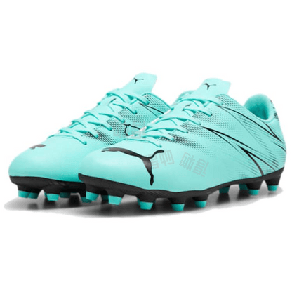 Бутсы мужские Puma Attacanto - Boxette Shop