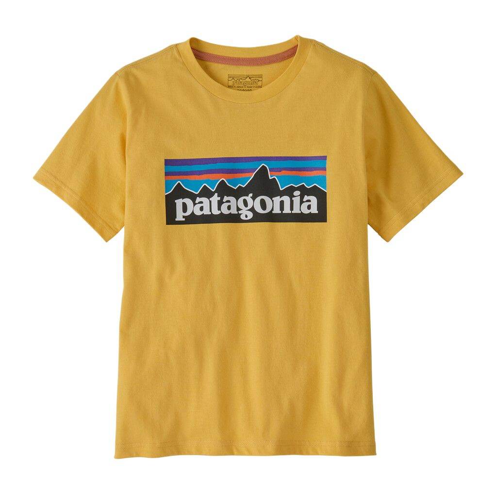 Футболка детская Patagonia P 6 Logo Patterned Printed - Boxette Shop