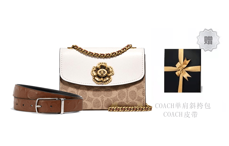 Сумка женская Coach Parker 18 Camellia Chain Coated Canvas - Boxette Shop