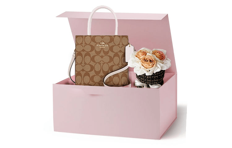 Сумка женская Coach Cally 17 Gin - Boxette Shop